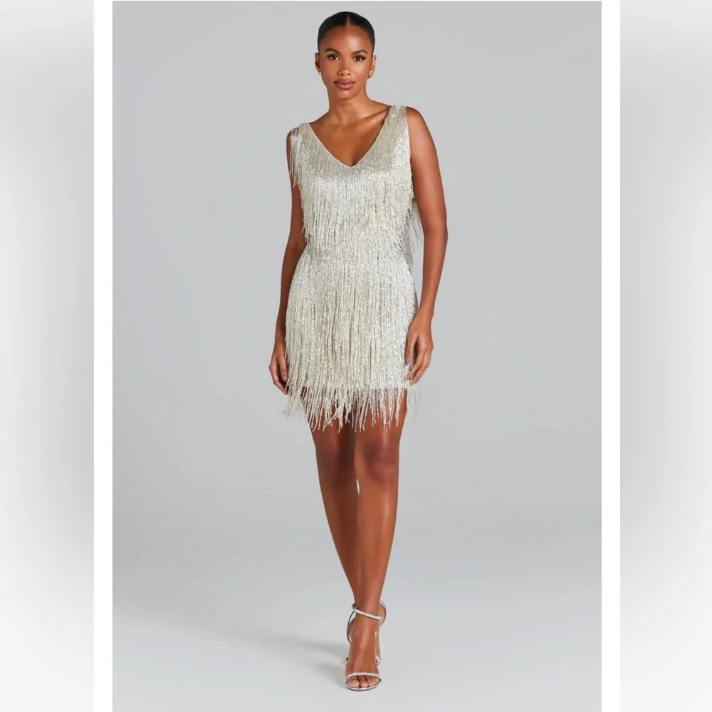 Nadine Merabi Sadie Silver dress. Worn once. Very beautiful beaded dress. Heavy - Picture 1 of 7